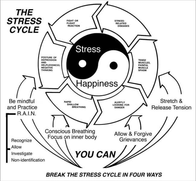 The stress cycle